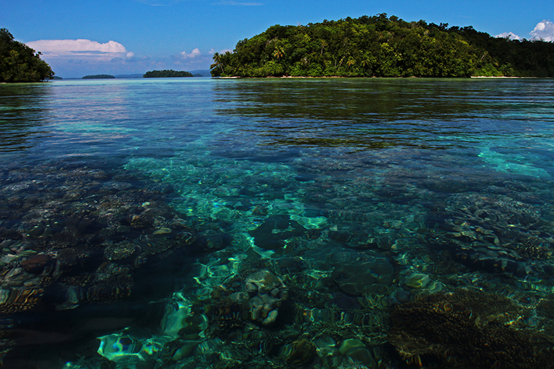 Solomon Islands : Travel : Photos :  Richard Moore Photography : Photographer : 